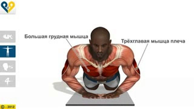 Тренировки 4 смотреть онлайн