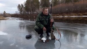 Охота с Барс 4-1. 223 rem.