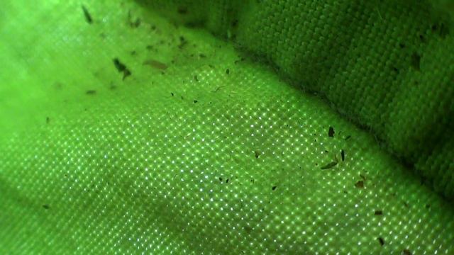 # Santa Barbara. series 00488 смотреть онлайн