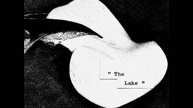 Alocasia Garden - The Lake (Full Cassette) [Sinneslöschen] смотреть онлайн