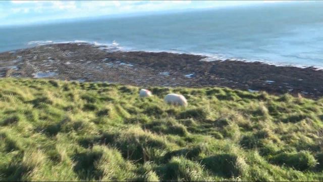 74. Уэльс. Остров Worms Head смотреть онлайн