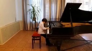 Яшаровм Артём, 10 лет Майкапар «Всадник в лесу».
