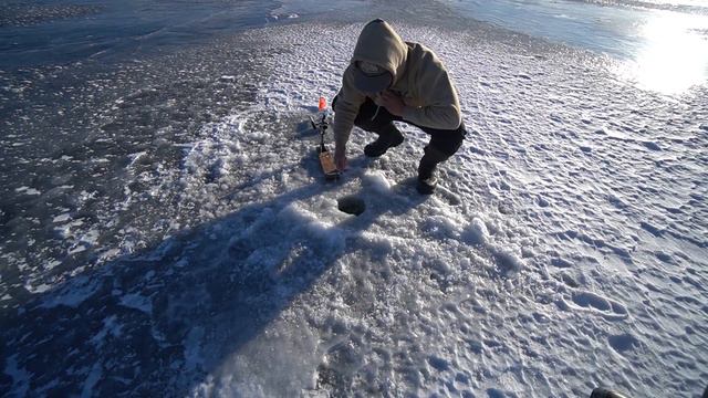Ice Camping with Cheap Walmart Gear! (BIG FISH CAUGHT) смотреть онлайн