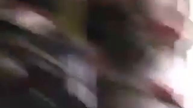 insane focus смотреть онлайн