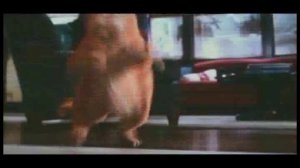 Ума Турман   Эй, толстый!!!