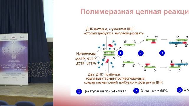 Авилов О. Н. Перспективы предтерапевтической диагностики радиойодрезистентности смотреть онлайн