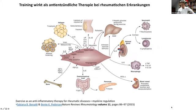 Wissen für Mitglieder und Patienten - Dr. Kurt Mosetter - Faszientraining bodyHOUSE Neustadt (Orla) смотреть онлайн