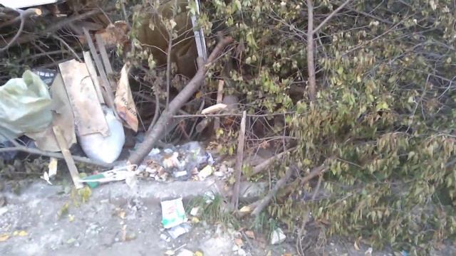 г. Богородицк ул.Луначарского мусор не убирает МСК-НТ смотреть онлайн
