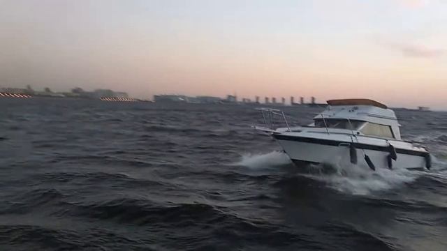 Bayliner 2556 новое сердце! Hyundai Seasall s250 смотреть онлайн