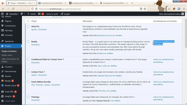Como actualizar plugins en un Theme con Full Site Editing - WordPress 6.1 смотреть онлайн