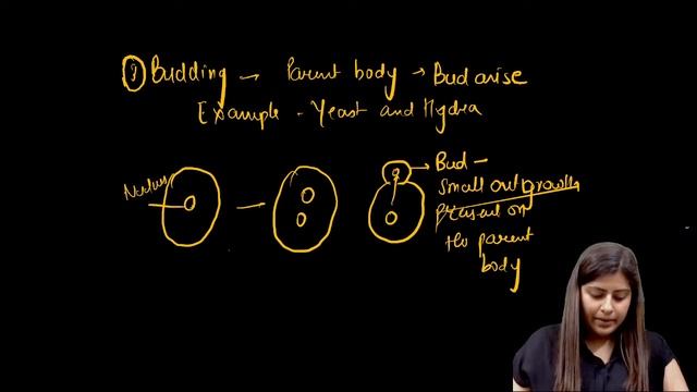 REPRODUCTION DAY-1 | Theory+Question | CUET MIssion Admission | Mahima Chugh смотреть онлайн