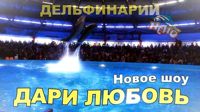 ДАРИ ЛЮБОВЬ avi смотреть онлайн