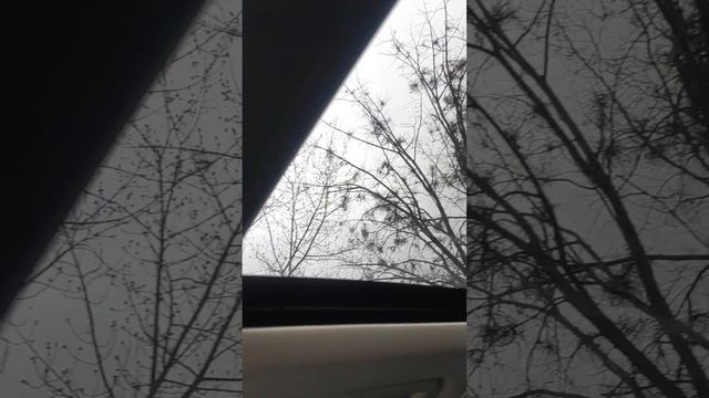 FORD ESCAPE ПАНОРАМА смотреть онлайн