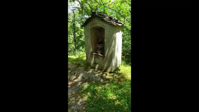 Выходной день. Купание в горной реке..mp4 смотреть онлайн
