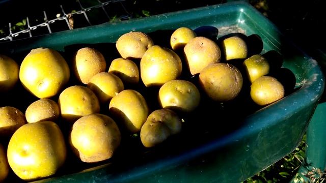 Камера Alcatel One Touch Scribe HD (camera Sample): пример видео в Full HD 1080p