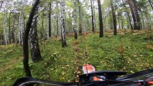 зеленогорск