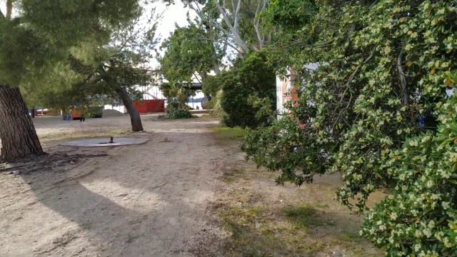 Приморские тополя и новая площадь у отеля пяти звёзд #Crikvenica смотреть онлайн