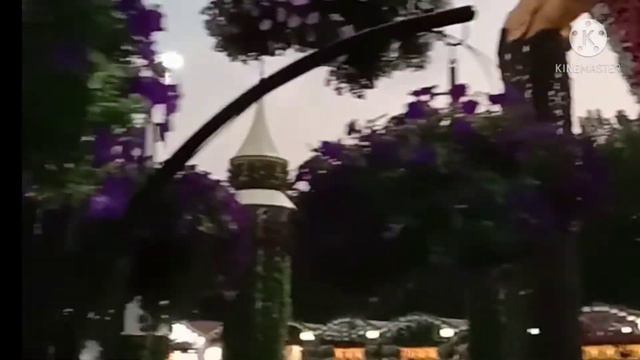 DUBAI MIRACLE GARDEN-2 смотреть онлайн