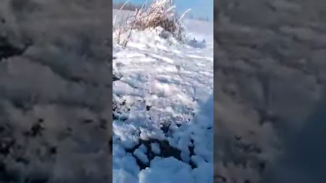Горячий источник смотреть онлайн