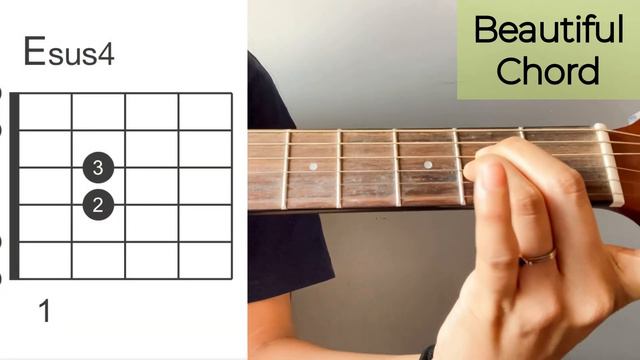EASY Chords To BEAUTIFUL Chords🌻✨ смотреть онлайн