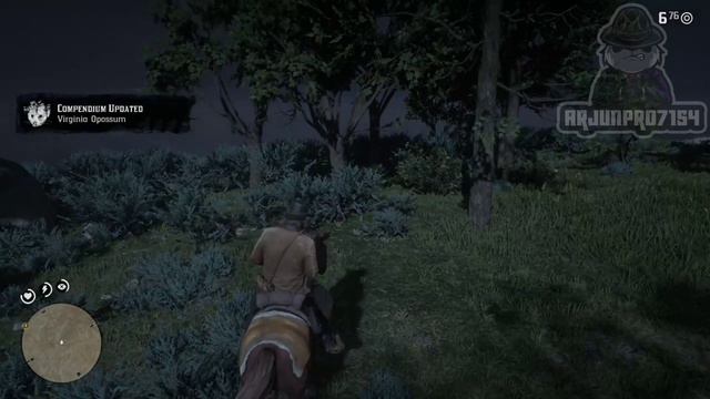 Red Dead Redemption 2 - Master Hunter Challenge 9: Kill an opassum playing possum смотреть онлайн
