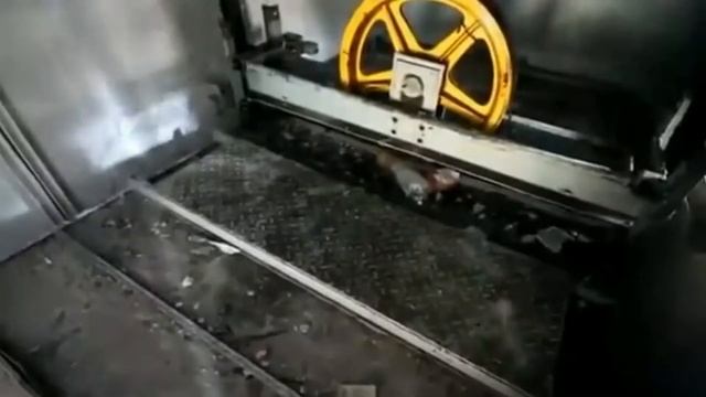 Падающие лифты ютуба смотреть онлайн
