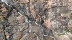 Охота на горных козлов