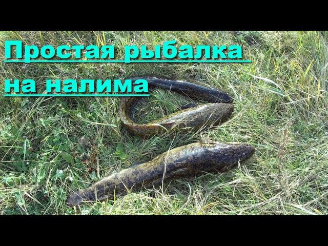 Простая рыбалка на налима смотреть онлайн