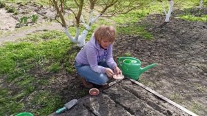 КАК СЕЯТЬ САЛАТ. КАК СЕЯТЬ КИНЗУ. КАК СДЕЛАТЬ РОВНЫЕ ГРЯДКИ