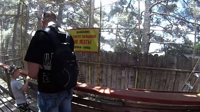 Гора Олимп экскурсия. Канатная дорога. Контактный зоопарк. смотреть онлайн