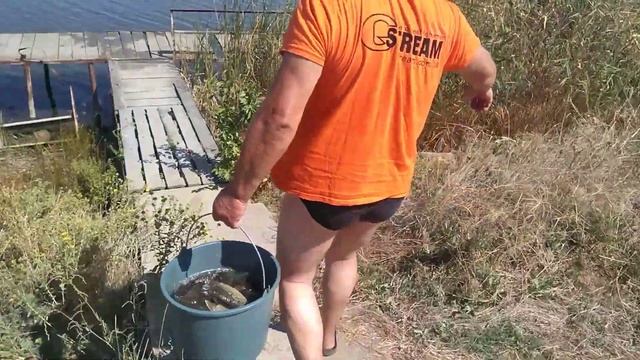 Как ловить карпа на матчевое удилище смотреть онлайн