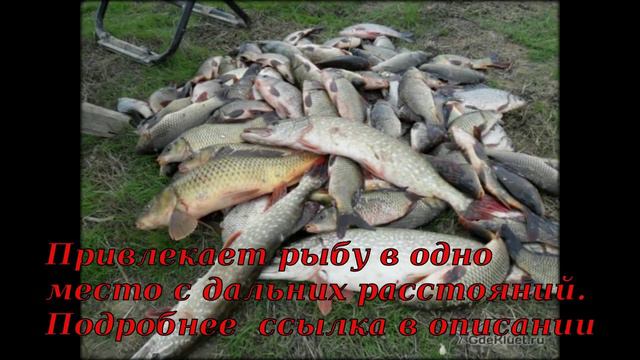 прикормка рыбы универсальная смотреть онлайн