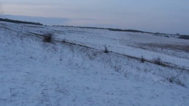 Заезд на брюхе. смотреть онлайн