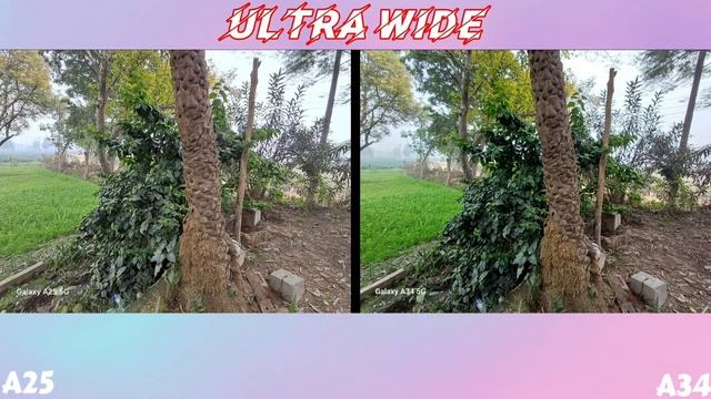 Galaxy A25 Vs Galaxy A34 Camera Test, Samsung A25 कर सकता है...