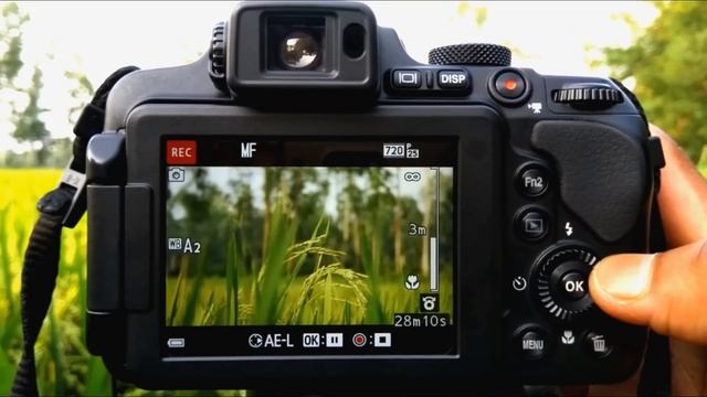 Nikon coolpix B700 P900 B500 Best Focus (MF V AF) Setting For video Shooting Tutorial смотреть онлайн