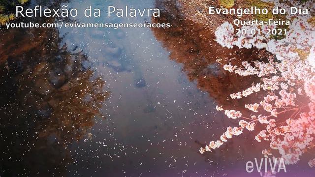 EVANGELHO DO DIA 20/01/2021 Narrado E Comentado - LITURGIA DIÁRIA - HOMILIA DIARIA HOJE REFLEXÃO