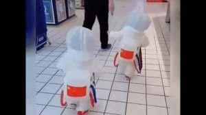 Я земля я своих провожаю питомцев.