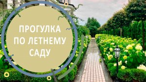 Прогулка по летнему саду | Обзор КП Никольские Озёра в июле 2020 года
