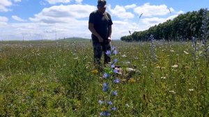 Комбайн для сбора ягод АВТОМАТИ́ЧЕСКИЙ/ Berry picking harvester AUTOMATIС!