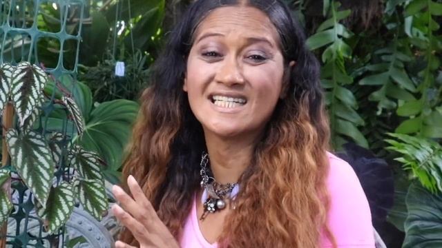 COMPLETE CARE Facts, Rumors, Care Tips & Tricks + Rainy Garden Tour, ALL ABOUT THE CISSUS DISCOLOR смотреть онлайн