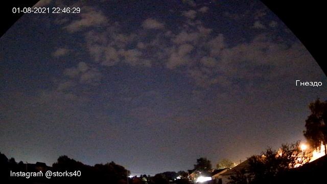 Небо над гнездом аиста онлайн  1-2 авг 2021 с 20-55