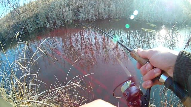 Осенняя рыбалка на спиннинг, попытка половить окушка!!!! смотреть онлайн