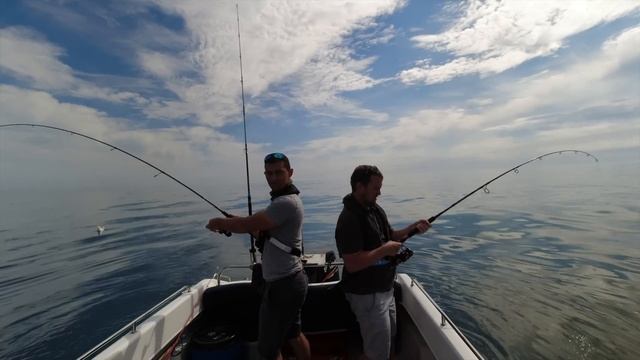 Can we catch a GREAT WHITE SHARK in the UK? EXPERTS Hunt for Great White Sharks | The Fish Locker смотреть онлайн