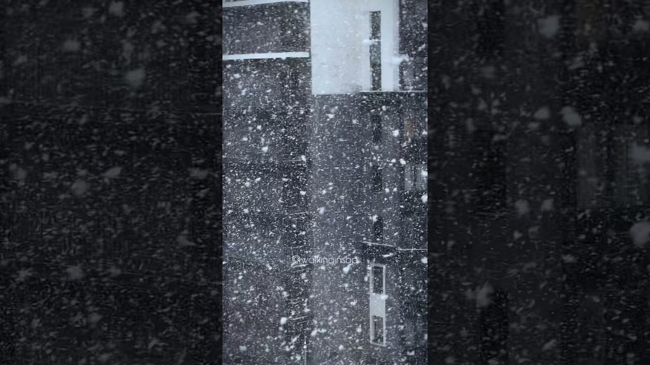 17 апреля в Петербурге. Снег. #shorts #снегопад смотреть онлайн