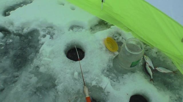 ? У НАС ЕЁ ЛОВЯТ ТАК / Зимняя рыбалка на льду / Ставим жерлицы, ловим в палатке смотреть онлайн