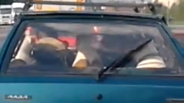 Сабаки сами на машине поехали на дачу смотреть онлайн