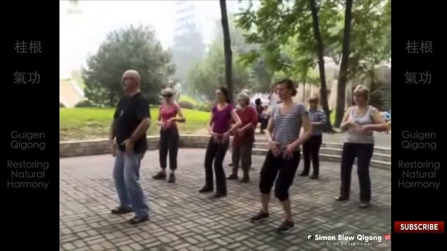Guigen Qigong Earth Element - Restoring Natural Harmony - Simon Blow Qigong смотреть онлайн