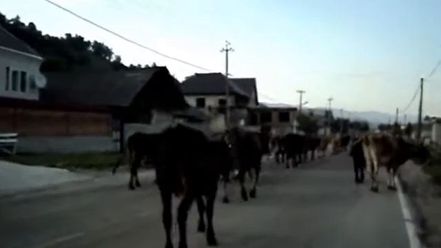 маленькая пробка смотреть онлайн