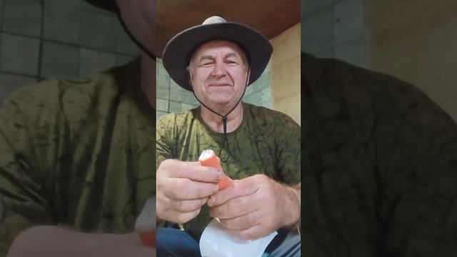 Ем лосось ролл с творожным сыром на даче. смотреть онлайн