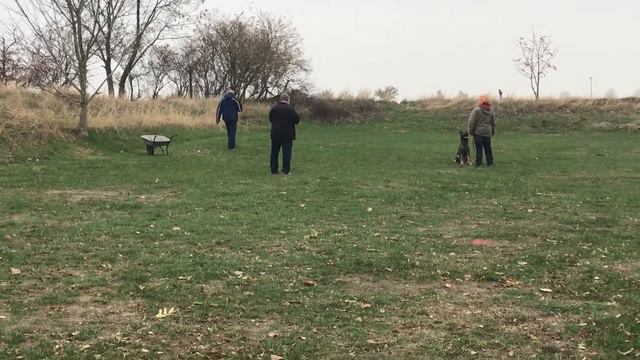 Wesensbeurteilung Asta vom Wolfsbergblick смотреть онлайн